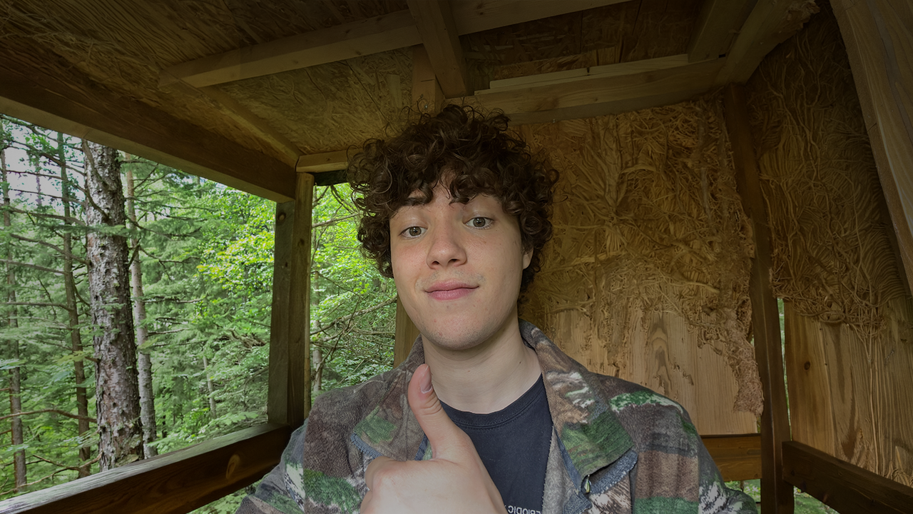 Portrait aus dem Wald